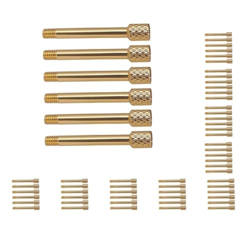 10�̃Z�b�g6�^�J�G���L�M�^�[�g�������u���b�W�T�h���N�����v���l�W�S�[���f��