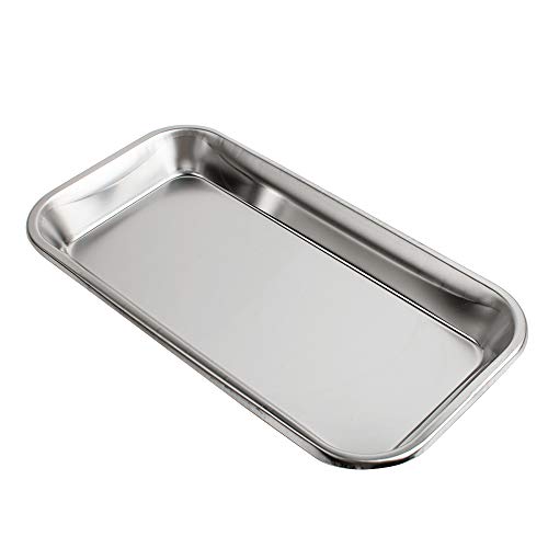 2 Pack Medical Stainless Steel Instrument Tray Lab Instrument Dental Tool By Vinmax #TOP1