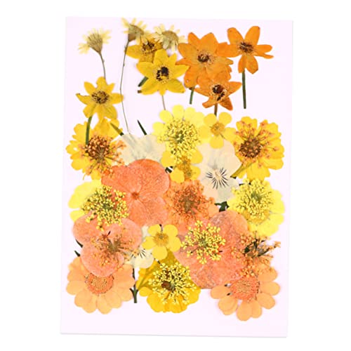 Kit de flores prensadas secas realistas 40 piezas