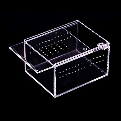 NANEEZOO Caixa de acrílico para reprodução de répteis, 12 x 10 x 7,6 cm, caixa plana e longa, caixa