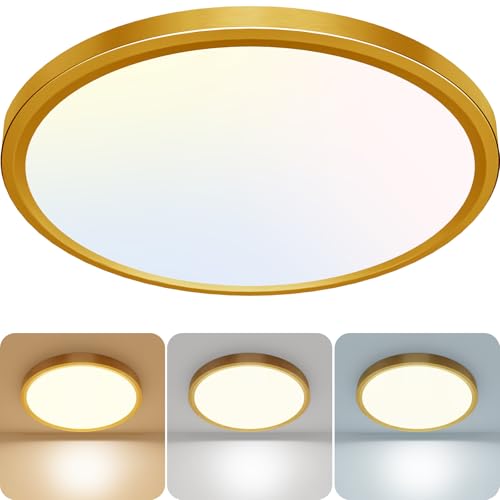 zemty 24W LED Deckenleuchte Flach 29.5cm 3Farben 3000/4000/6500K Deckenlampe,Golden Ultra D&uuml;nn LED Lampen Deckenlampen,Deckenleuchten Deckenbeleuchtung f&uuml;r Badezimmer,Wohnzimmer,K&uuml;che,Schlafzimmer
