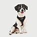 Puppia Soft Harness II - Weiches Hundegeschirr für kleine und mittelgroße Hunde - sehr komfortabel und verstellbar, Schwarz, S