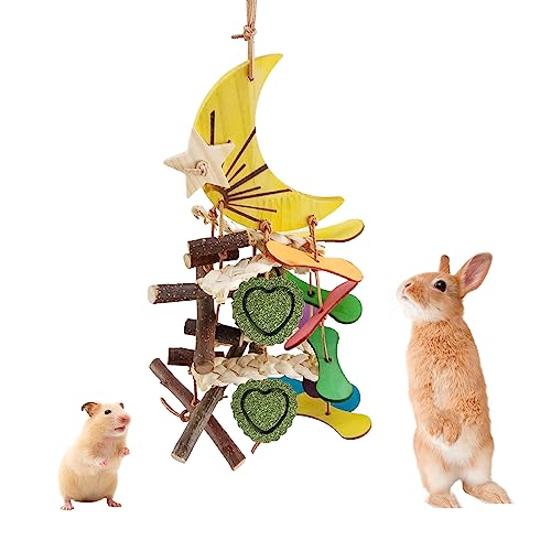 What Can Rabbits Chew on for their Teeth? 10 Safe Chews!