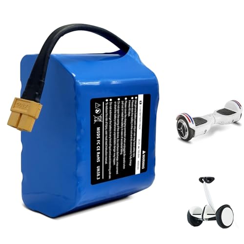 JHKJ Batterie au Lithium 25,2 V/29,4 V 4000 mAh, Compatible avec Les Moteurs de hoverboards et monocycles électriques de 0 à 120 W.,7s2p