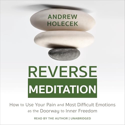 Reverse Meditation by Andrew Holecek episode artwork