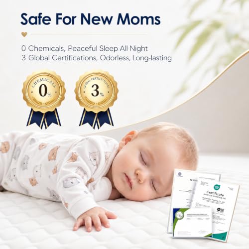 SCHNAUZER HOME Dual Sided Memory Foam Mattress