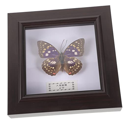 LIFKOME Butterfly Specimen Display Frame Realistic Wall Hanging Decor Craft Photo Frame for Great Present Idea for Swallowtail