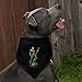 GRAPHICS & MORE Aquaman Character Dog Pet Bandana