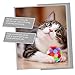 POPETPOP 3Pcs Cat Ball Soft Chew Balls for Indoor Cats Interactive Play and Exercise for Reducing Stress and Strengthening Bond with Pets