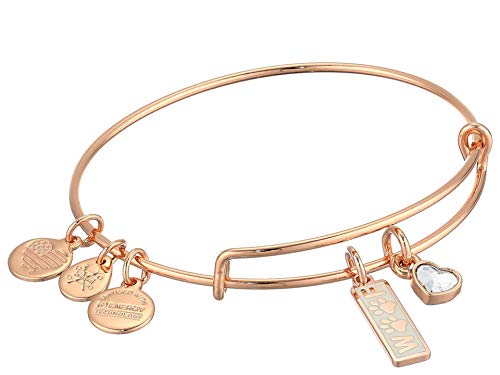 Alex and Ani Duo Charm Meow and Woof Bangle Bracelet Rose Gold/Woof One Size