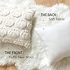 MIULEE Fall Throw Pillow Covers 18x18 Set of 2 Autumn Decorations Beige Pumpkin Accent Pillowcase for Sofa Couch Porch Bed Living Room Soft Plush Faux Fur Halloween Farmhouse Home Decor #4