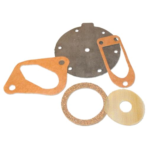 Basic Fuel Pump Repair Kit Fits International Tractor
