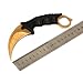 WeTop Karambit Knife, CS-GO for Hunting Camping Fishing Self Defenses and Field Survival, Stainless Steel Fixed Blade Tactical Knife with Sheath and Cord (Spider Web Gold).