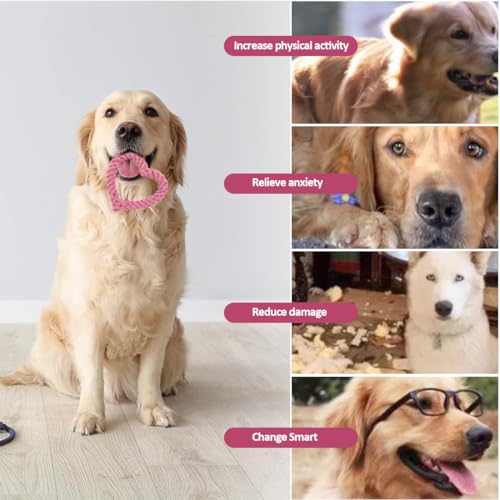 OUDQFCJ 2 Stück Robustes Kauspielzeug für Welpen, Interaktives Hundespielzeug, für Zahnreinigung, Hundespielzeug Herzform, Puppy Seil Spielzeug Geflochtene, für Kleine Mittelgroßen Hund