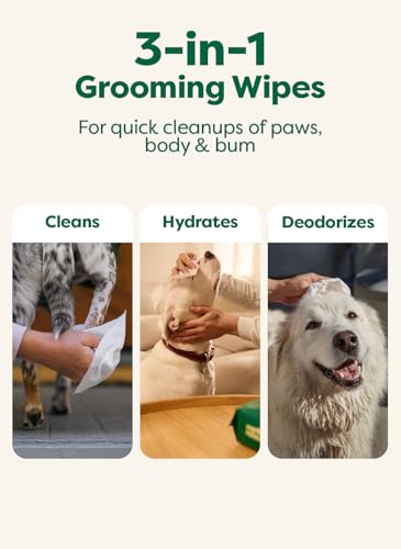 Image of Earth Rated XL Pet Wipes for Dogs & Cats, 3-in-1 Unscented Hypoallergenic Cleaning, Deodorizing and Hydrating Extra Large Grooming for Body, Paws and Butt, Unscented, 60 Count (Pack of 2)