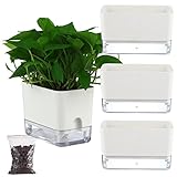 3 Pack Self Watering Pots for Indoor Plants, Self-Watering Planters Box Transparent for Devil's Ivy,...