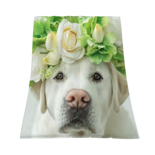 Couverture flanelle Labrador doux plaid lit chaud 152x127 - 4