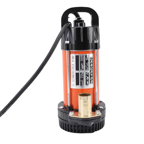 Jeffergarden Bomba Sumergible de Acero Inoxidable, Bomba Eléctrica de 300 W, Elevación de 22 M para Uso Industrial en Estanques Agrícolas (DC12V)