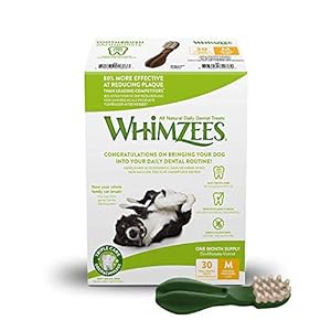 WHIMZEES Toothbrush, Natural and Grain Free Dog Dental Sticks, Dog Chews for Medium Breeds, Monthly Pack (30 Pieces…