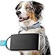 Invoxia Minitailz - Gesundheits- und GPS-Tracker für Hunde #1 - Herz- und Atemscans - Echtzeitstandort - Analyse von Aktivität und Wohlbefinden - Kompakt, leicht
