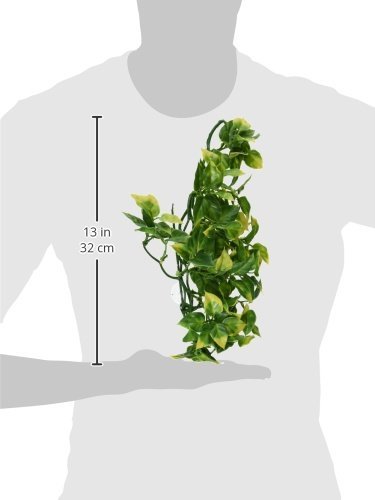 Hagen Exo Terra Plastic Terrarium Plant, Medium, Amapallo - image 2