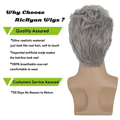 RicHyun Mens Short Layered Grey Wig Synthetic Heat Resistant Halloween Cosplay Hair Wig