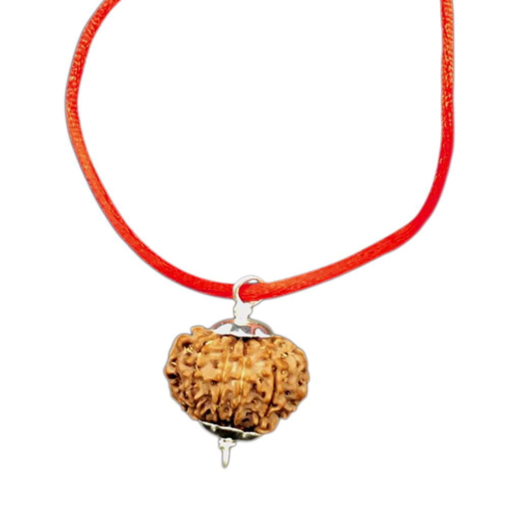 Vishaka Arts12 Mukhi Nepal Rudraksha In Pure Silver Pendant IGL Lab Certified (Big 26mm-28mm)