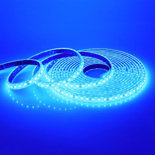 Wisada - Tira de LED 24V [2m, Azul], IP68 Impermeable flexible, SMD2835, 120 LED/m Tira de LED cortable CRI85+, decoración para hogar y tiendas - sin fuente de alimentación