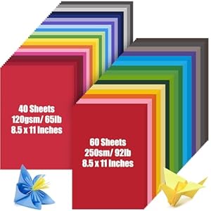 100 Sheets Colored Cardstock, Includes 40 Sheets 120gsm Card Stock and 60 Sheets 250gsm Lightweight Construction Paper, for DIY Crafts Scrapbook Making School Supplies, 8.5 x 11 Inches