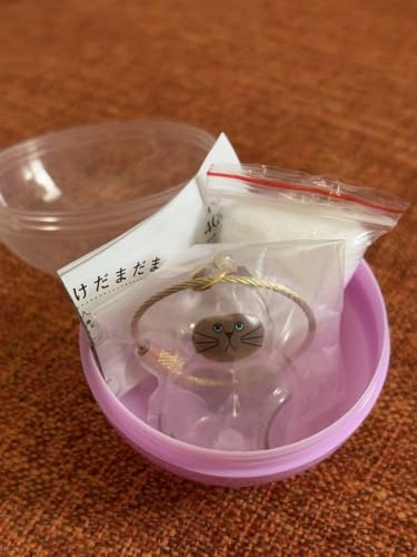 Ki ̎q̂܂ V L K`K` JvZgC `[