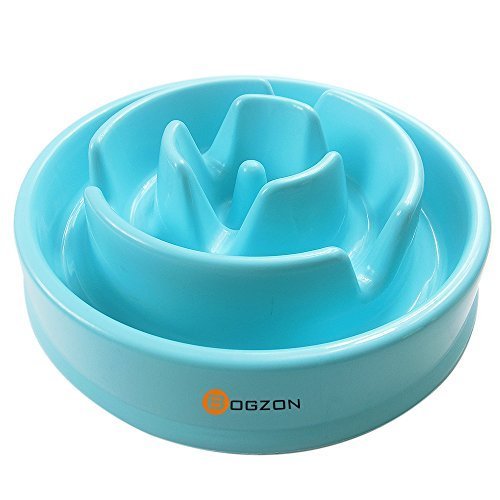 BAZER Novel & Interactive & Fun Slow Feed Pet Bowl, Anti-Chocking Feeder, Healthy Diet For Dog, Bud-shaped, Blue