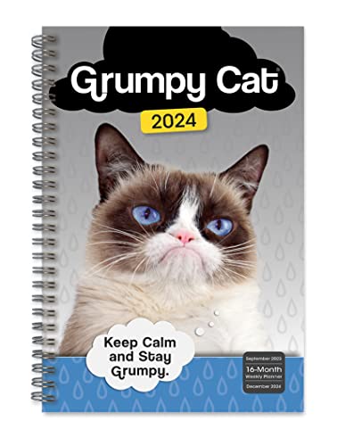 Grumpy Cat