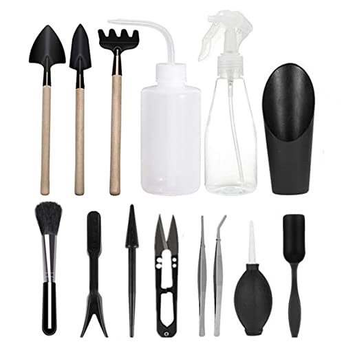 Set de herramientas para plantas suculentas 14 piezas miniatura 1