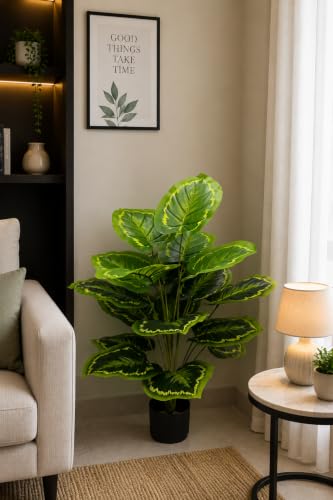 Image of Cocco.BUA Artificial Plant with Black Pot, 18 Leaves, 76 CM (2.5 Feet) (Calathea Orbifolia Plant)