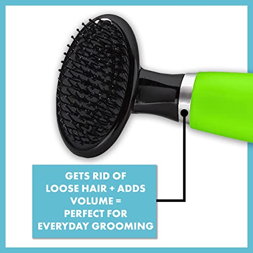 Conairpro Dog & Cat Dog Brush For Shedding, Small Slicker Brush With Reinforced Metal Tips, Ideal For Smaller Breeds #TOP6