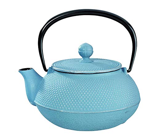 Arare Jeans Cast Iron Teapot 0.55L