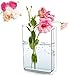 Buch Vase, Acryl Buch Vasen, Transparente Vase für Blumen, Vase Buchform, Neue Kreative Buchvase, Klare Buchblumenvase, Blumenvase Modern für Blumenarrangements, Mittelstücke und Heimdekoration Buch mit günstig Kaufen-Buch Vase, Acryl Buch Vasen, Transparente Vase für Blumen, Vase Buchform, Neue Kreative Buchvase, Klare Buchblumenvase, Blumenvase Modern für Blumenarrangements, Mittelstücke und Heimdekoration