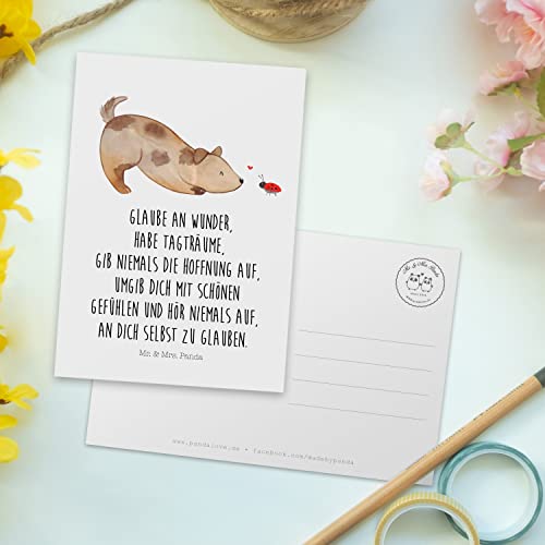Mr. & Mrs. Panda bildkarte Hund Marienkäfer - Geschenk, Grußkarte, Mischlingshund, Ansichtskarten, Sprüche, Postkarte, Postkarten, Hoffnung, Kunstkarten, Hoffnungsvoll, Ansichtskarte, Mischlinghund
