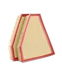 Cartist 2-Pack Engine Air Filter Compatible with BMW 2013-07 328i, 2013-09 328i xDrive, 2006 325i,