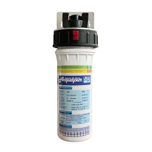 Depuratore Purificatore Acqua Acquapur W2P 5k 5000 Litri Argentizzata (con Testata)