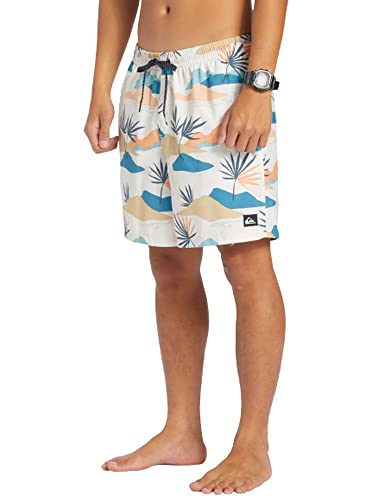 Quiksilver Men's Standard Everyday Mix Volley 17 Boardshort Swim Trunk4