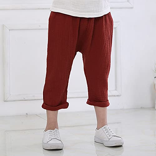 Toddler Boys Harem Sweatpants Fall Winter Warm Fleece Plain Straight Pants with Pockets Kids Wide Leg Elastic Trousers3
