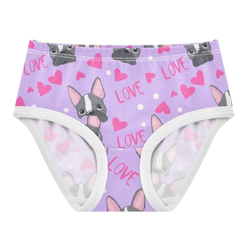 Cute French Bulldog Toddler Girls's Underwear 2T 202c1779