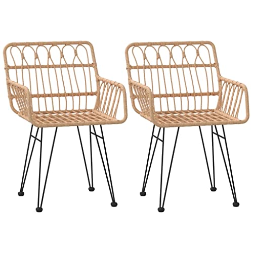 vidaXL Chaises de Jardin 2 pcs et accoudoir 56x64x80 cm Résine tressée, Chaise à dîner, siège de Salle à Manger, Chaise de Patio