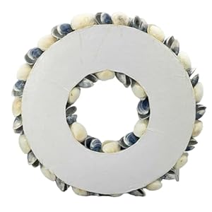 Galt International 18" Nautical Seashell Hanukkah Wreath, Dark Blue | Holiday Coastal Beach Floral Home Decor Indoor Outdoor Real Starfish Pearl Seashells Galt International 18 Nautical Seashell Hanukkah Wreath Dark Blue Holiday Coastal Beach Floral Home Decor Indoor Outdoor Real Starfish Pearl Seashells