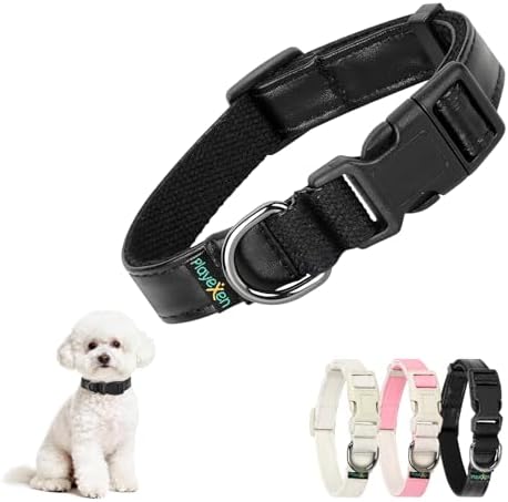 Welpenhalsband Welpen Halsbänder Verstellbares 25-40cm Hundehalsband Kleine Hunde für Klein Mittel Katzen Weiche PU-Außenlage BaumwolleInnenlage aus Hundehalsband für Training Ausf