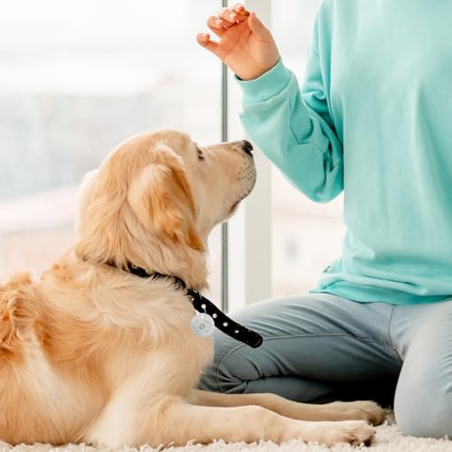 AIZHAZHA 40 Stück Edelstahl Anhänger Blanko, Runde/Rechteckige Leere Anhänger Schlüsselanhänger Rohlinge Metall, Stanzen Rohlinge Hundemarken Beschriftbar, Blank Stamping Dog Tag, Pendants Halsketten