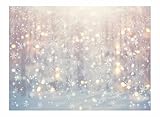 Allenjoy 8 x 6 FT Winter Wonderland Photography Backdrop Christmas Glitter Bokeh Snowflakes Background for Kids Children Newborn Baby Shower Birthday Party Decor Banner Portrait Photo Booth Props
