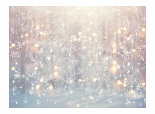 Allenjoy 8 x 6 FT Winter Wonderland Photography Backdrop Christmas
