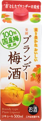 楽園 ブランデー梅酒パック 500ml